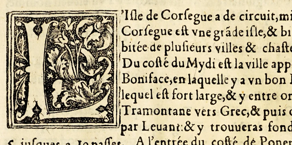 An illustration from Le portulan contenant la description tant des mers du Ponent despuis le destroict de Gibeltar iusques a la Schiuse en Flandres, que de la mer Mediterranée, ou du Leuant,, 1577, leaf 83