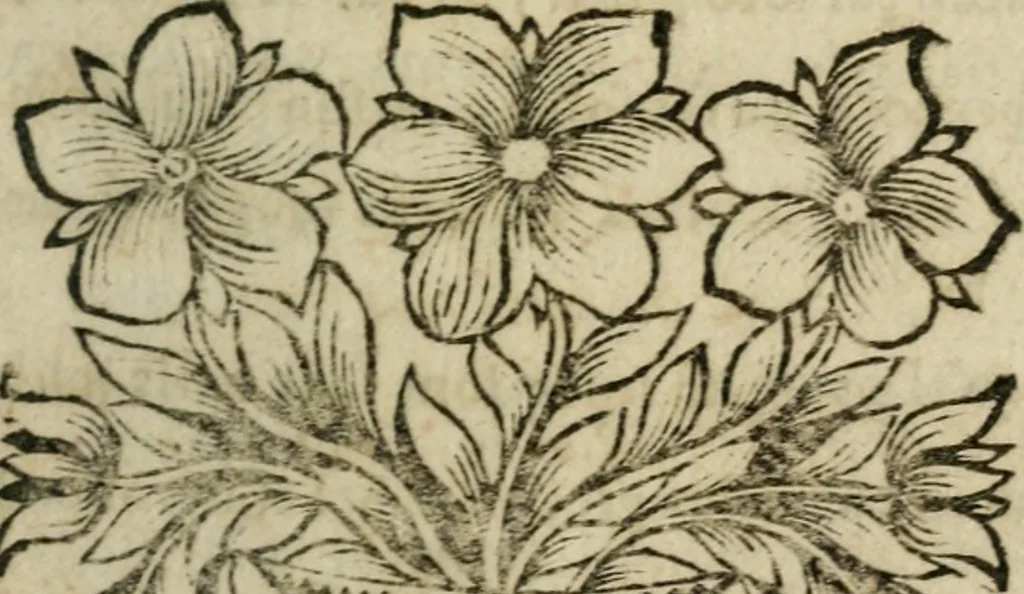 An illustration from Le poëte sincere, ou Les veritez du siecle: poëme heroi-comique, 1698, leaf 114