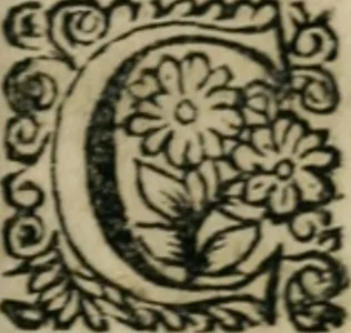 An illustration from Le poëte sincere, ou Les veritez du siecle: poëme heroi-comique, 1698, leaf 38