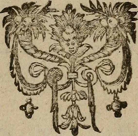 An illustration from Le povvoir et commission de monseignevr l'illustrissime & reuerendissime Cardinal Caietan, legat deputé par le s. siege apostolique au royaume de France. : En latin, & en françois, 1590, leaf 18
