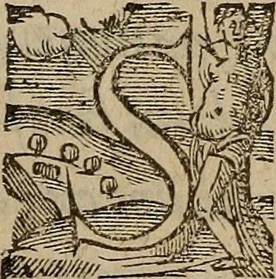 An illustration from Le povvoir et commission de monseignevr l'illustrissime & reuerendissime Cardinal Caietan, legat deputé par le s. siege apostolique au royaume de France. : En latin, & en françois, 1590, leaf 4