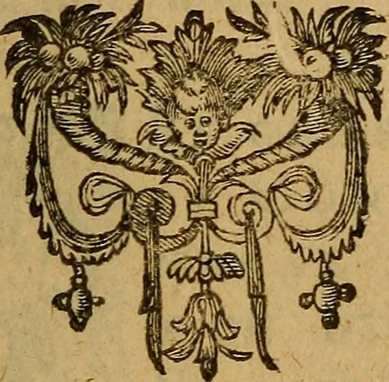 An illustration from Le Povvoir et Pvissance de Monseignevr le Dvc de Mayenne, Pair, & Lieutenant General de l'Estat Royal & Couronne de France, 1589, leaf 8