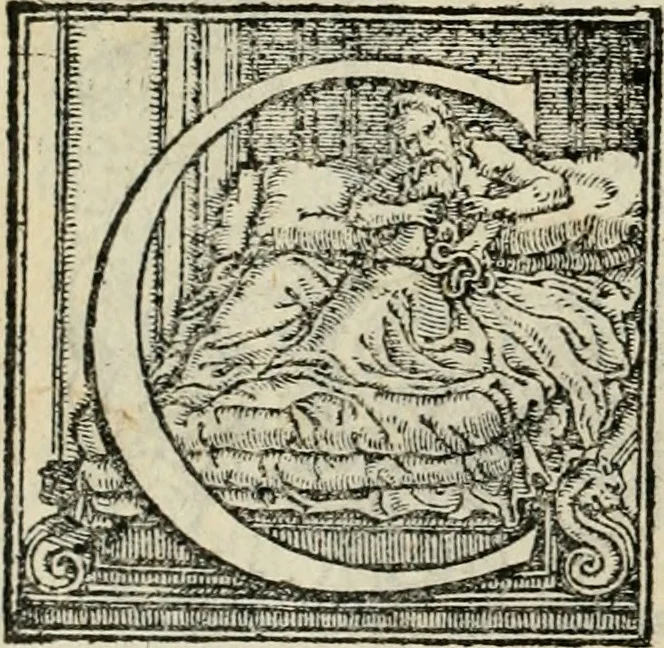An illustration from Le prime imprese del conte Orlando, 1572, leaf 23
