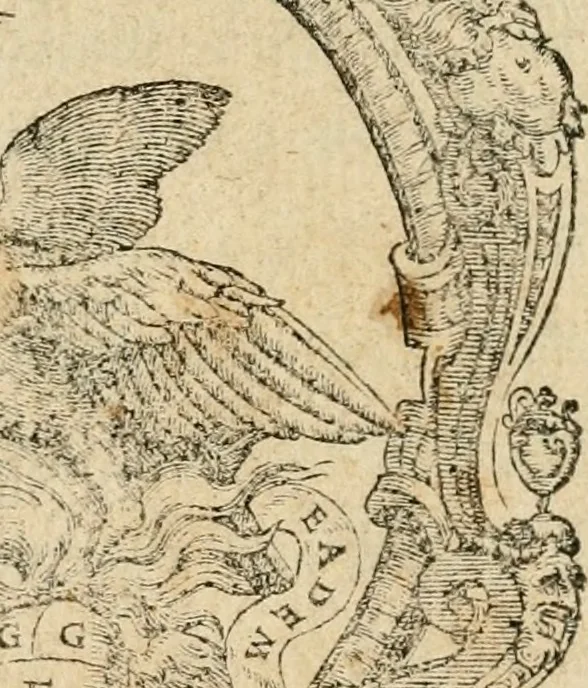 An illustration from Le prime imprese del conte Orlando, 1572, leaf 6