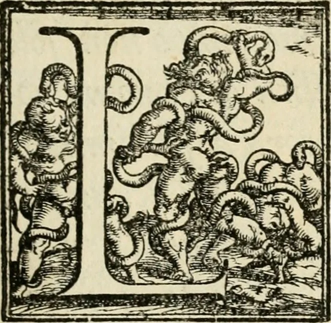 An illustration from Le prime imprese del conte Orlando, 1572, leaf 8