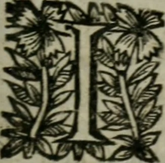An illustration from Le Prince, 1677, leaf 28