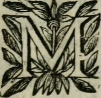 An illustration from Le Prince, 1677, leaf 298