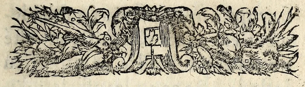 An illustration from Le proces verbal faict par ordonnance de la court de Parlemẽt, de l'execution de l'arrest donné le sixiesme iour de iuin dernier passé, touchant les articles & la profession de foy d'icelle court., 1562, leaf 5