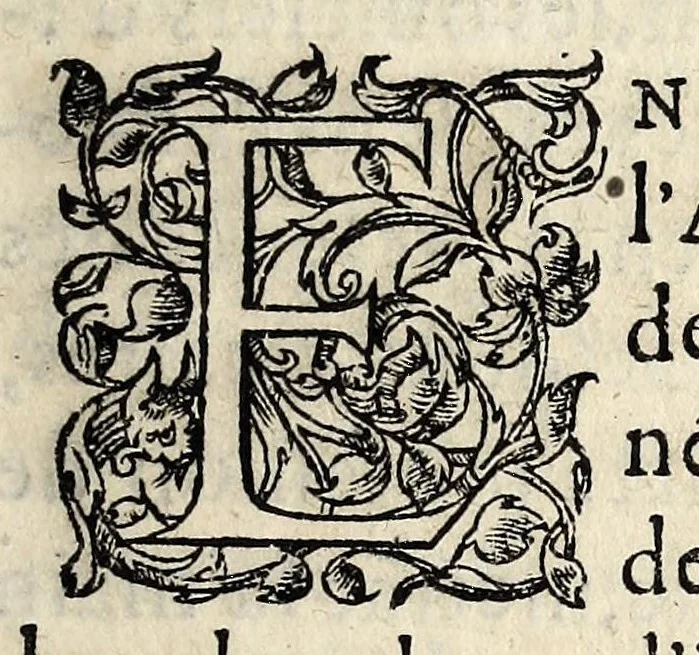 An illustration from Le proces verbal faict par ordonnance de la court de Parlemẽt, de l'execution de l'arrest donné le sixiesme iour de iuin dernier passé, touchant les articles & la profession de foy d'icelle court., 1562, leaf 5