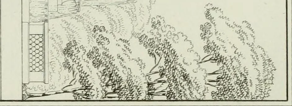 An illustration from Le propriétaire architecte : contenant des modèles de maisons de ville et de campagne, de fermes, orangeries, portes, puits, fontaines, etc. : ainsi qu'un traité d'architecture et de construction renferment le résumé desnouvelles découvertes relatives aux constructions : ouvrage utile aux architects, aux ingénieurs, aux entrepreneurs et principalement aux personnes qui veulent diriger elles-mêmes leurs ouvriers, 1827, leaf 38