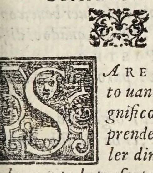 An illustration from Le prose di M. Pietro Bembo : nelle qvali si ragiona della volgar lingua : scritte al Cardinal de' Medici, che poi fu creato a Sommo Pontefice, & detto papa Clemente VII : divise in tre libri, e di nvovo aggionte le postille nel margine, e reuiste con somma diligenza da M. Lodouico Dolce, 1561, leaf 5