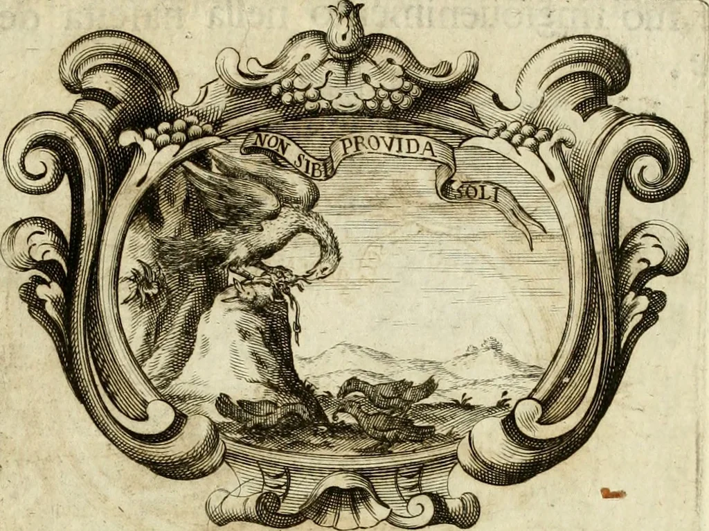 An illustration from Le pubbliche dimostrazioni di allegrezza della città di Milano : alli 10. febraio, e 6. marzo dell'anno 1658, nella nascita del serenissimo principe di Spagna Filippo Prospero, 1659, leaf 26