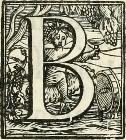 An illustration from Le pubbliche dimostrazioni di allegrezza della città di Milano : alli 10. febraio, e 6. marzo dell'anno 1658, nella nascita del serenissimo principe di Spagna Filippo Prospero, 1659, leaf 4