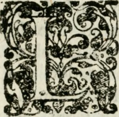 An illustration from Le quattro relationi seguite in Ratisbona nelli tempi sotti notati, 1637, leaf 58