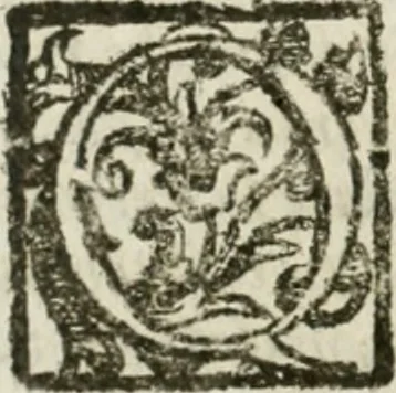 An illustration from Le relationi vniversali, 1617, leaf 139