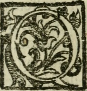 An illustration from Le relationi vniversali, 1617, leaf 246