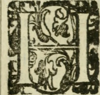 An illustration from Le relationi vniversali, 1617, leaf 250