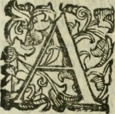 An illustration from Le relationi vniversali, 1617, leaf 252