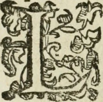 An illustration from Le relationi vniversali, 1617, leaf 281