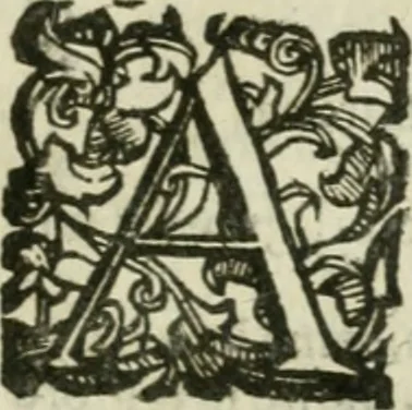 An illustration from Le relationi vniversali, 1617, leaf 320