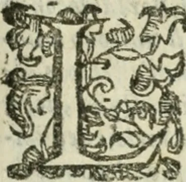 An illustration from Le relationi vniversali, 1617, leaf 384