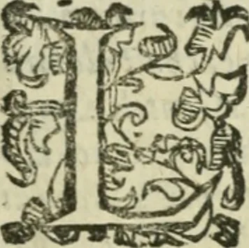 An illustration from Le relationi vniversali, 1617, leaf 424
