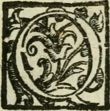 An illustration from Le relationi vniversali, 1617, leaf 6