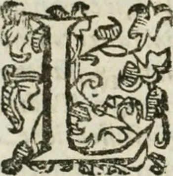 An illustration from Le relationi vniversali, 1617, leaf 607