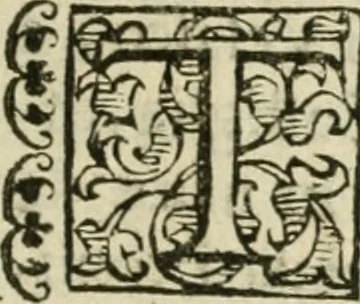 An illustration from Le relationi vniversali, 1617, leaf 640