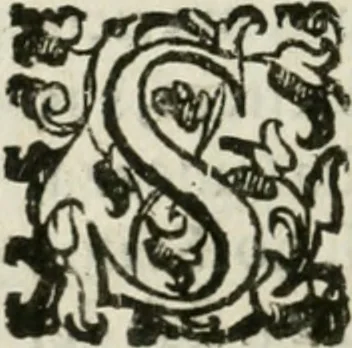 An illustration from Le relationi vniversali, 1617, leaf 643