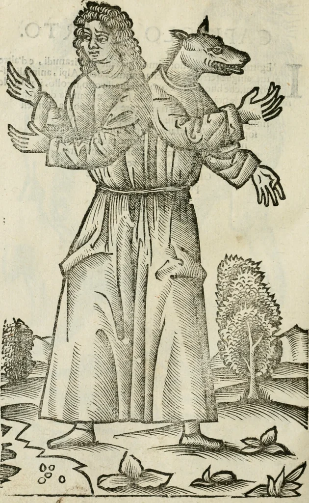 An illustration from Le relationi vniversali, 1617, leaf 735