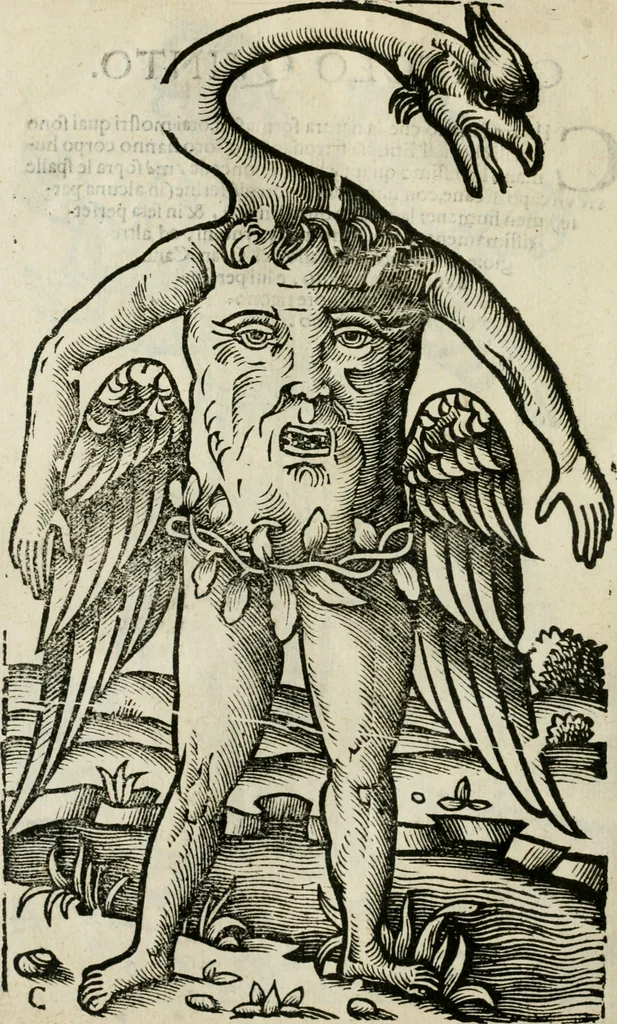 An illustration from Le relationi vniversali, 1617, leaf 737
