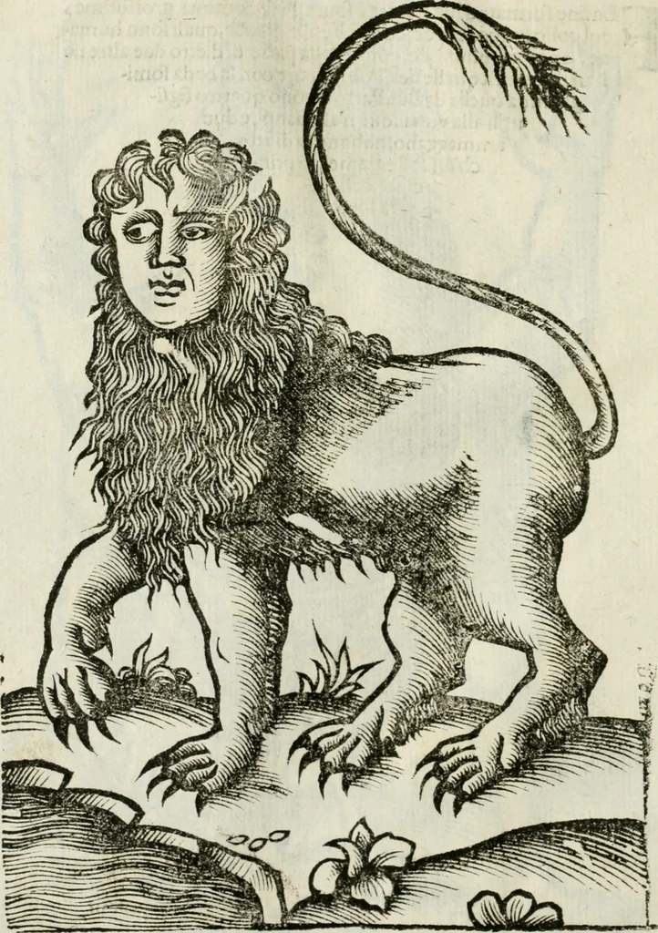 An illustration from Le relationi vniversali, 1617, leaf 743