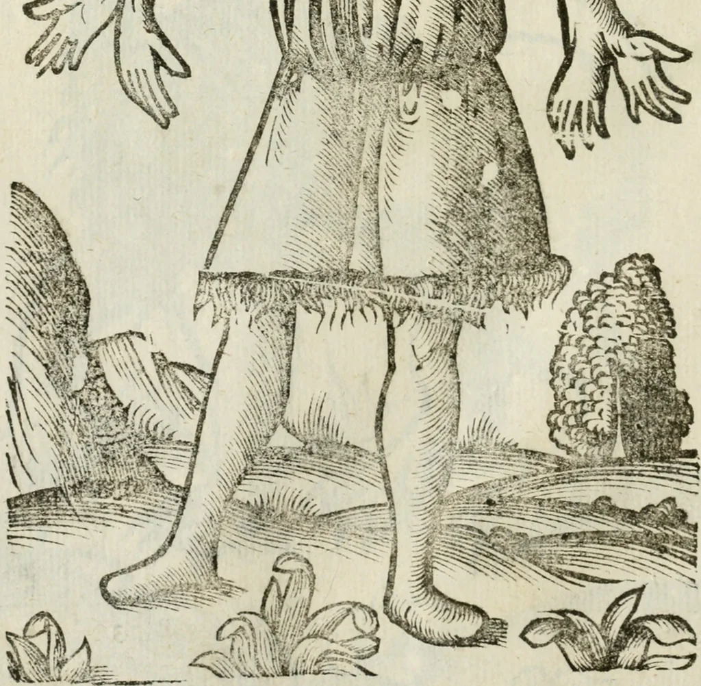 An illustration from Le relationi vniversali, 1617, leaf 745