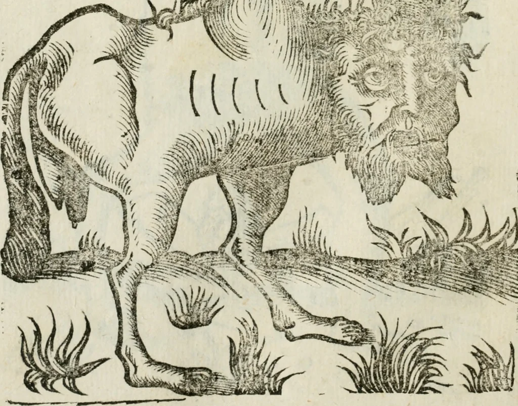 An illustration from Le relationi vniversali, 1617, leaf 751