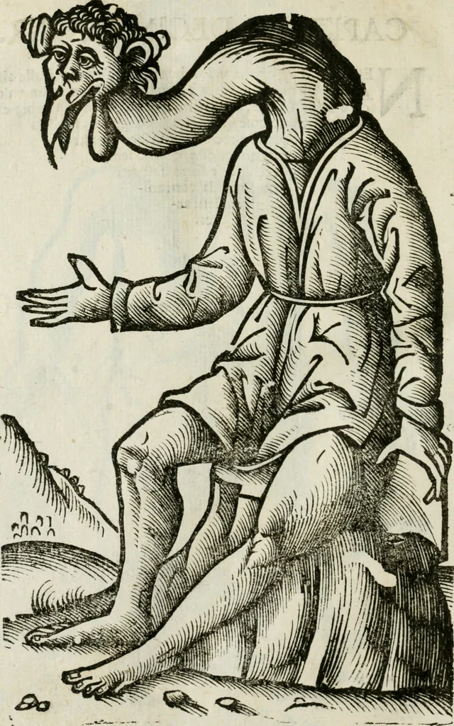 An illustration from Le relationi vniversali, 1617, leaf 755