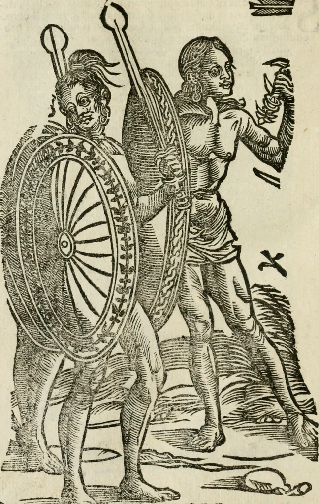 An illustration from Le relationi vniversali, 1617, leaf 761