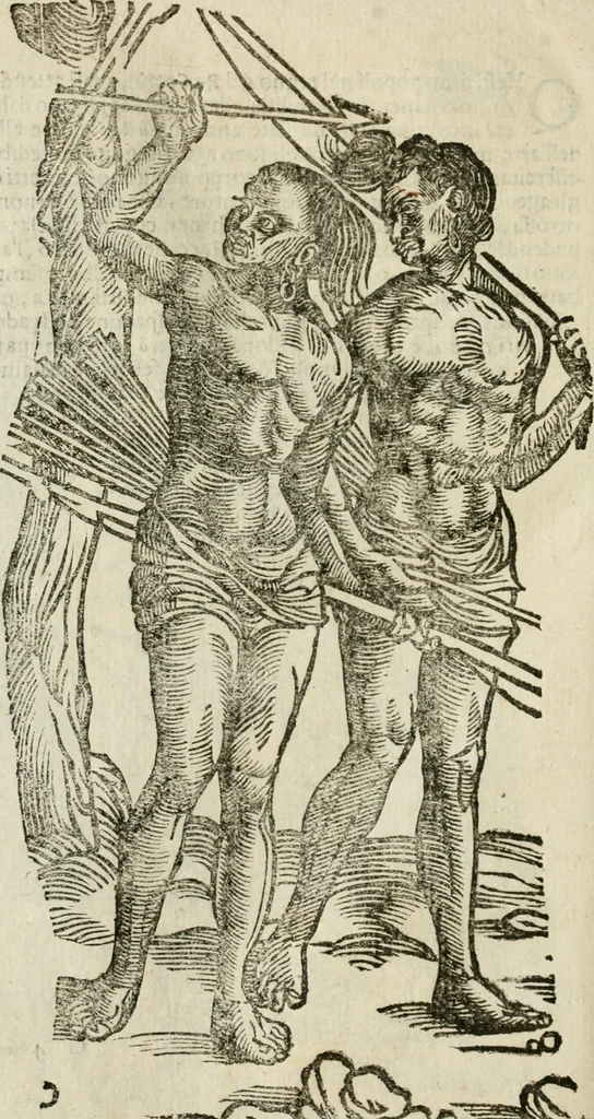 An illustration from Le relationi vniversali, 1617, leaf 763