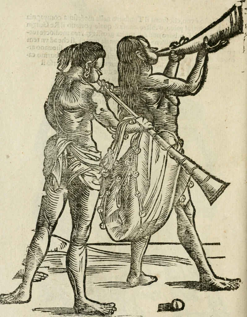 An illustration from Le relationi vniversali, 1617, leaf 767