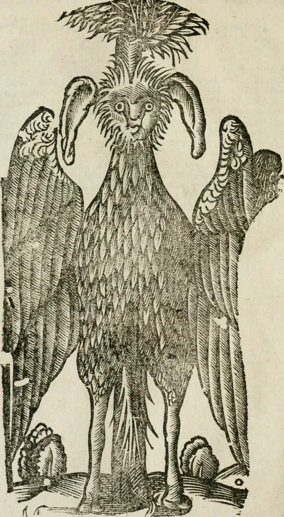An illustration from Le relationi vniversali, 1617, leaf 779