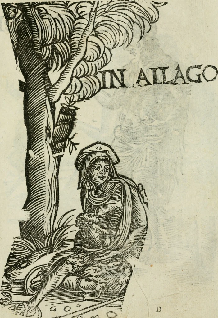 An illustration from Le relationi vniversali, 1617, leaf 784