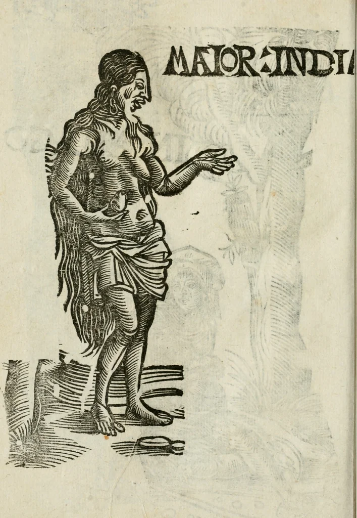 An illustration from Le relationi vniversali, 1617, leaf 785
