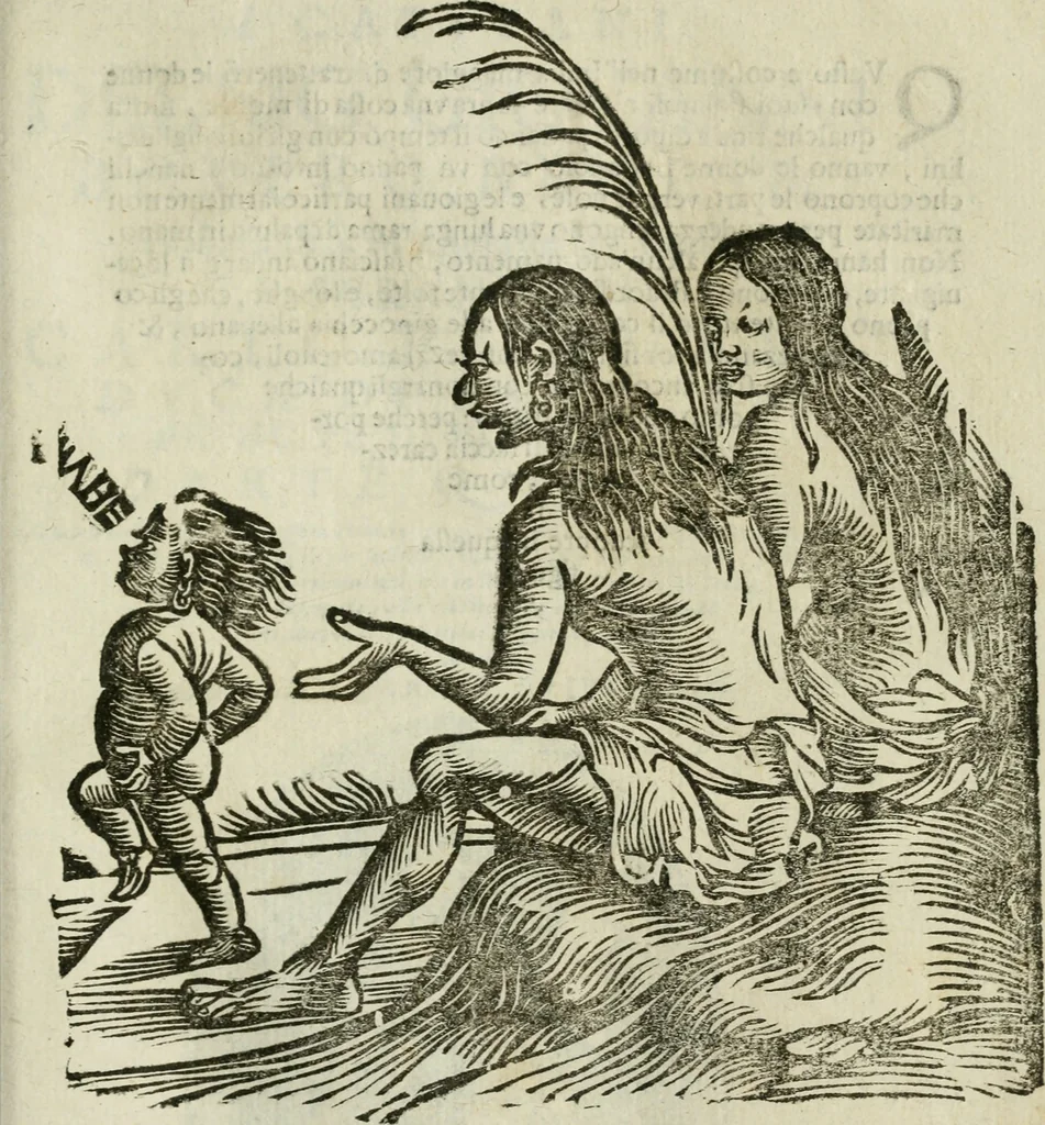 An illustration from Le relationi vniversali, 1617, leaf 786