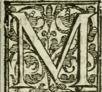 An illustration from Le relationi vniversali, 1617, leaf 790