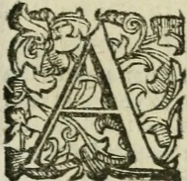 An illustration from Le relationi vniversali, 1617, leaf 856