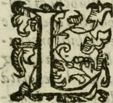 An illustration from Le relationi vniversali, 1617, leaf 860