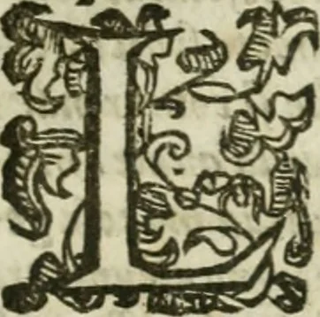 An illustration from Le relationi vniversali, 1617, leaf 926