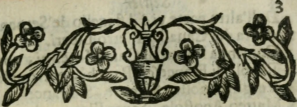 An illustration from Le ricche minere della pittura veneziana, 1674, leaf 248