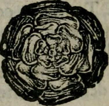 An illustration from Le ricche minere della pittura veneziana, 1674, leaf 541