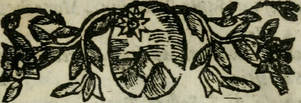 An illustration from Le ricche minere della pittura veneziana, 1674, leaf 542